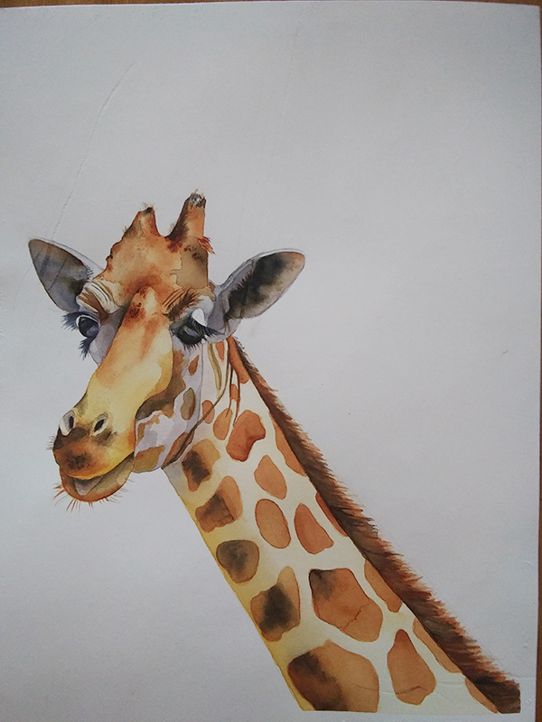 giraffe complete